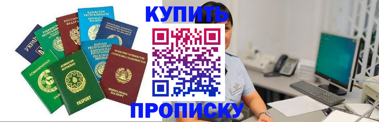 прописка в Светлогорске